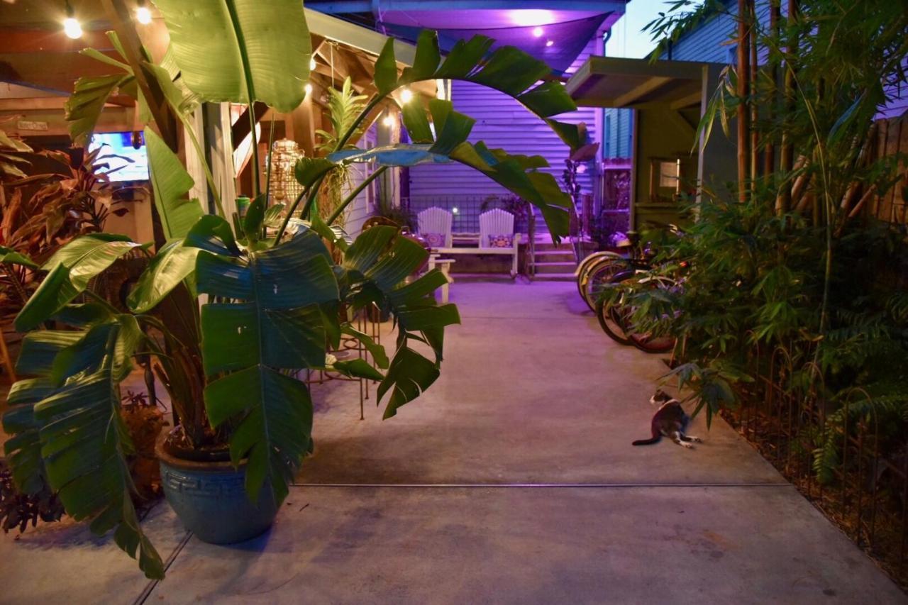 The Dragonfly Treme Guest House Ню Орлиънс Екстериор снимка