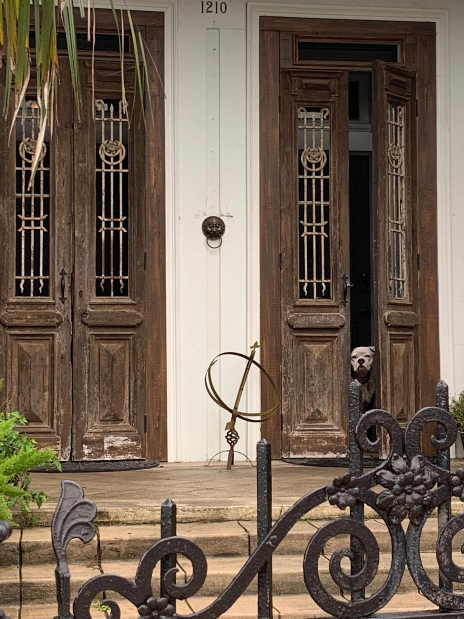 The Dragonfly Treme Guest House Ню Орлиънс Екстериор снимка